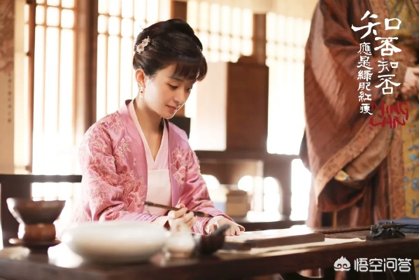 知否知否应是绿肥红瘦 在线观看（知否知否应是绿肥红瘦，在线观看的新体验）