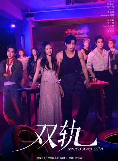 双轨 在线观看（双轨，在线观看的魅力与深度体验）