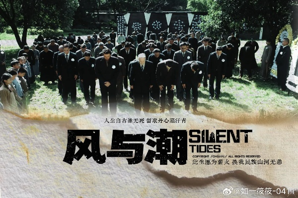 风与潮 在线观看（风与潮，在线观看的魅力与体验）