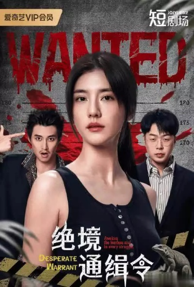 最新短剧（最新短剧，快节奏下的影视新风尚）