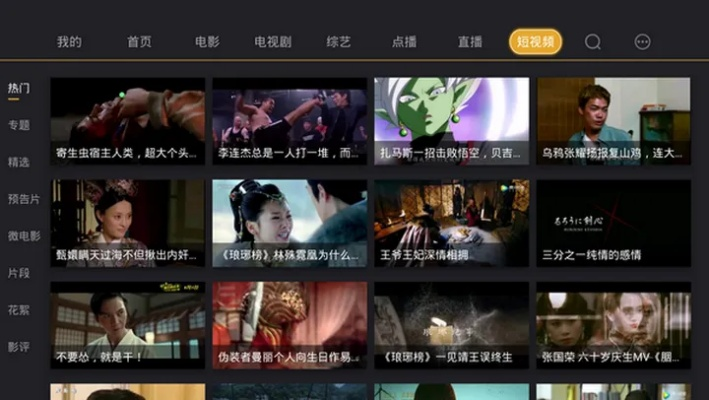 免费小电影在线免费观看（免费小电影在线免费观看，探索电影的无限魅力）