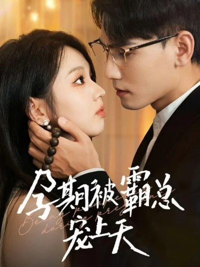 红果短剧下载（红果短剧下载，轻松观看，畅享精彩瞬间）