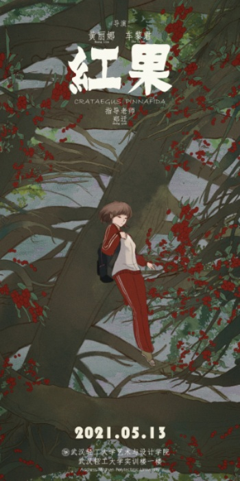 红果破解版（红果破解版，探索与解析）